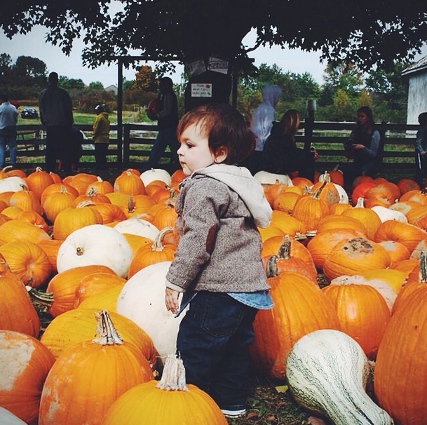 Elbow_patches_and_pumpkin_picking